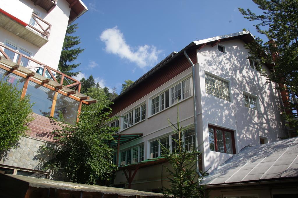 Cazare Casa Cristina بوستين المظهر الخارجي الصورة